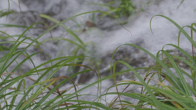 小溪瀑布水流水花慢速05