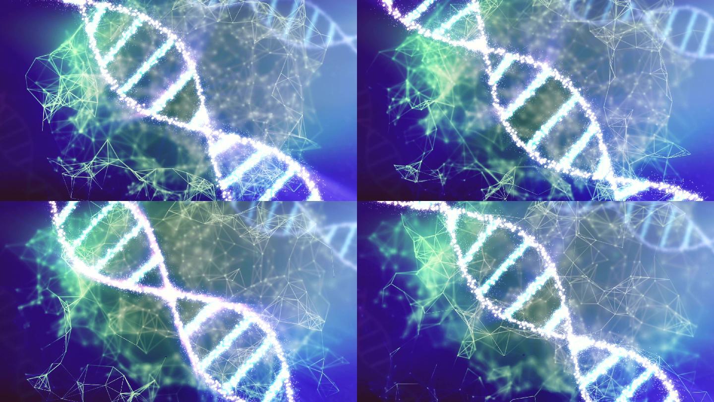 提取DNA动画。双螺旋