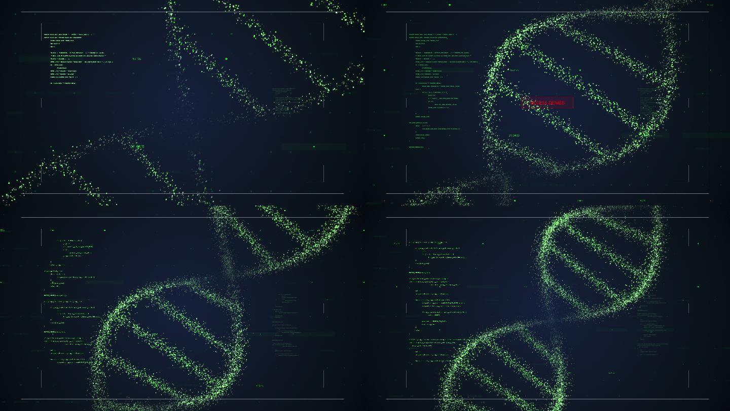 DNA动画脱氧核糖核酸遗传学