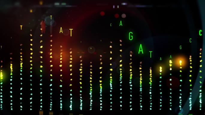 DNA字符串的动画