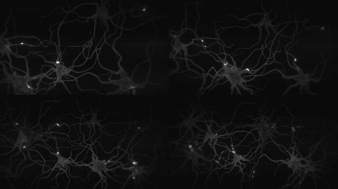 神经元细胞系统神经中枢神经突轴突