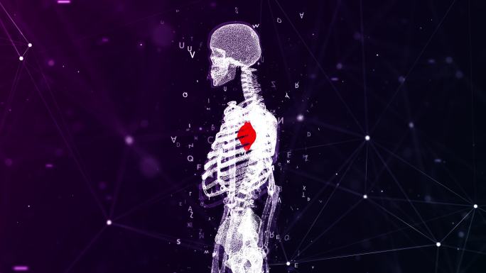 人体系统心脏解剖的三维动画概念
