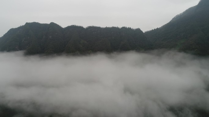 空山云雾薄雾