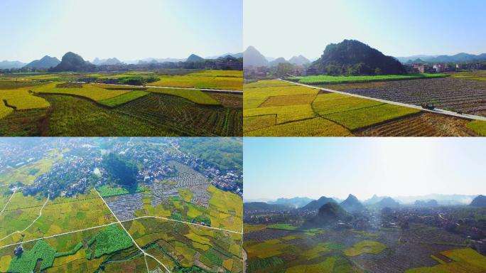 秋收的田野