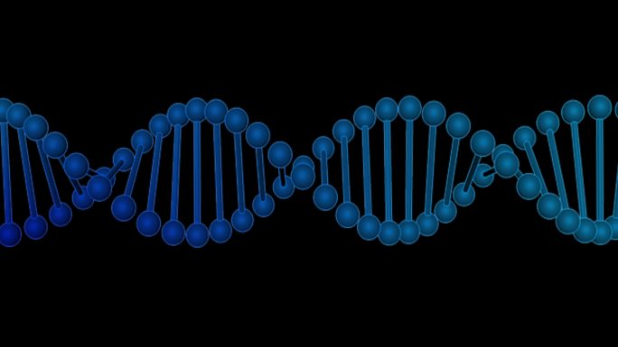 在黑色背景上旋转DNA