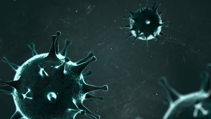 流感流行与新型冠状病毒