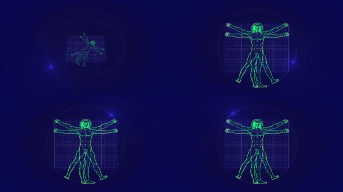 维特鲁威人动画达芬奇透视人体