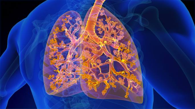 呼吸系统气管呼吸道三维动画科普展示医院医