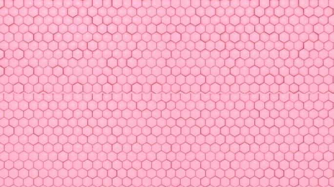 粉色蜂窝图案背景整齐排列化妆品空间