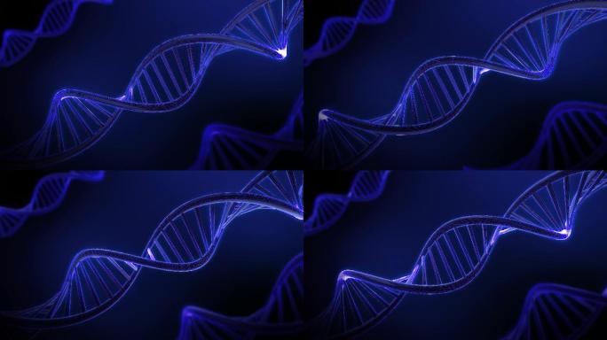 旋转的DNA动画DNA基因动画螺旋结构医