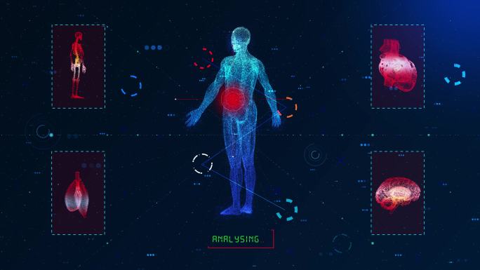 人体医学扫描全息科技医疗组织器官识别检查