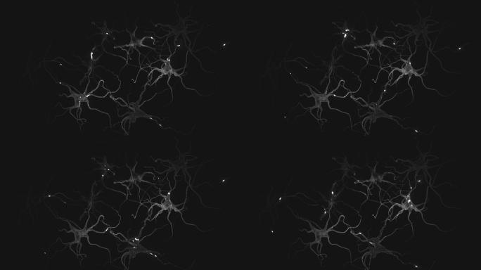 神经元放电动画特效视频