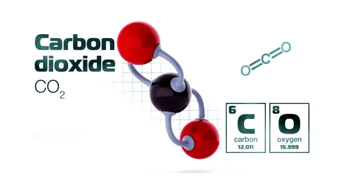二氧化碳分子动画组成构成建化学式