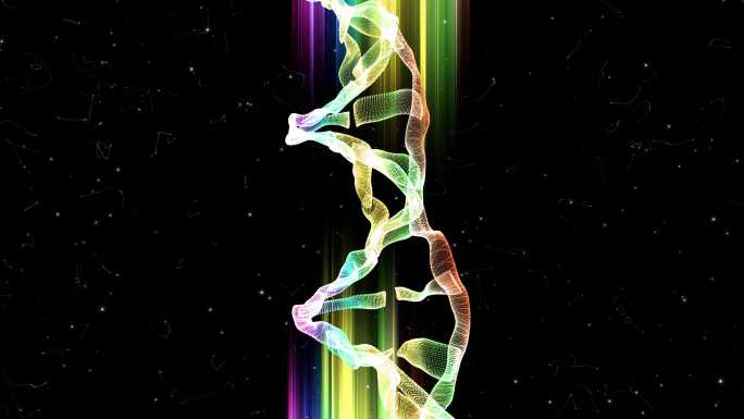 来自粒子漩涡的DNA