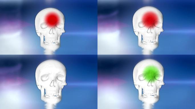 人类头骨的程式化帧动画