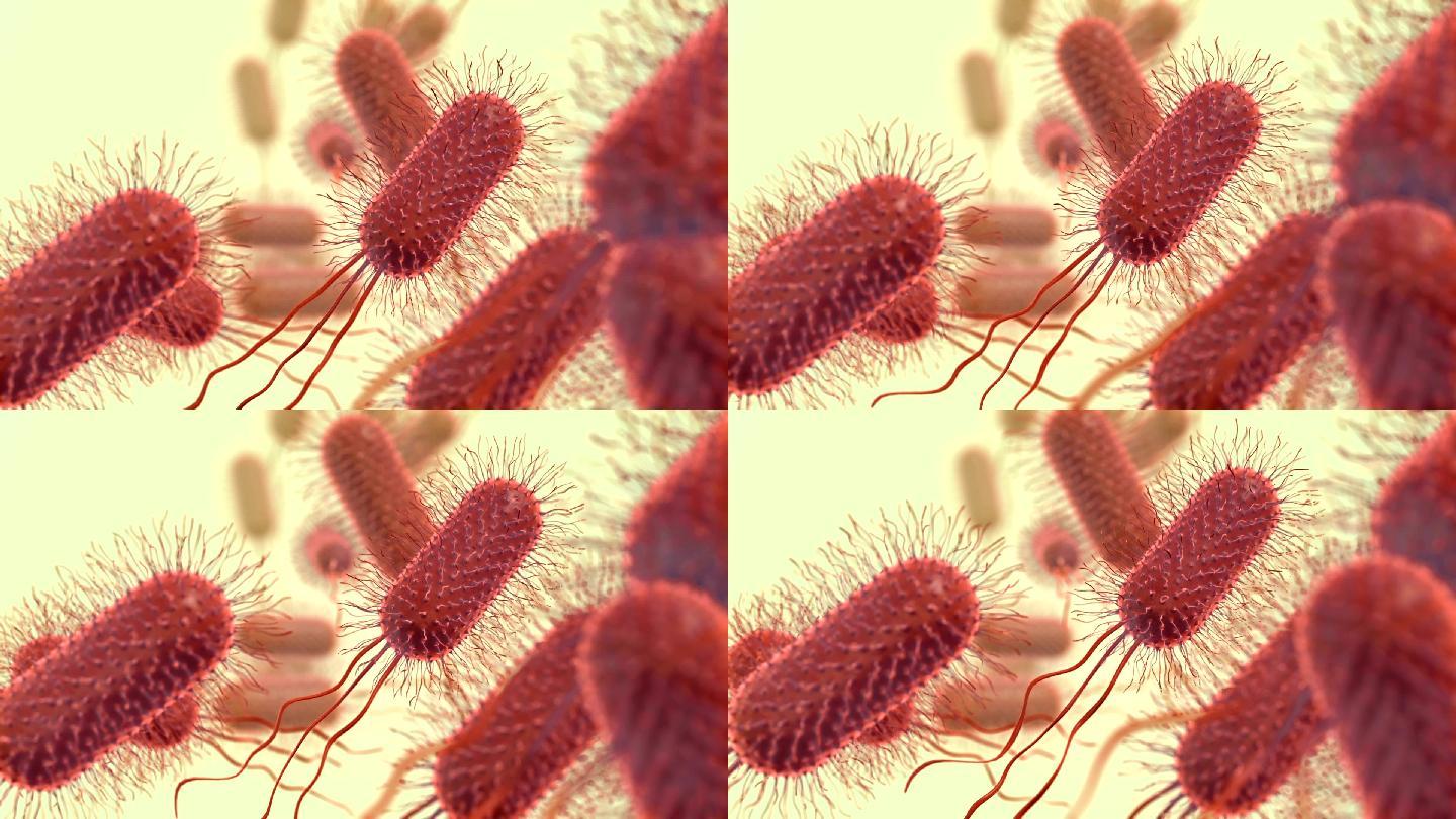 细菌动画特效视频