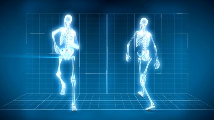 x射线骨架行走和跑步的旋转动画