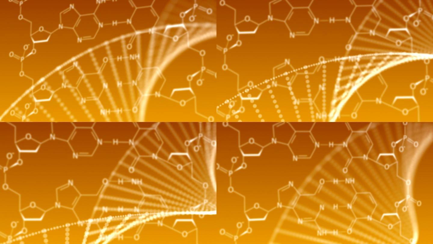DNA结构化学课原子图形生命研发