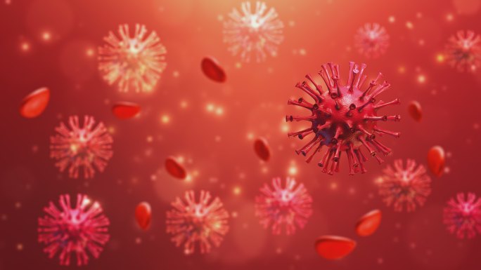 红色病毒红色星白血球血管道