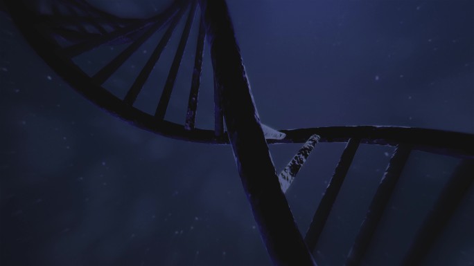 旋转DNA序列特效视频3D