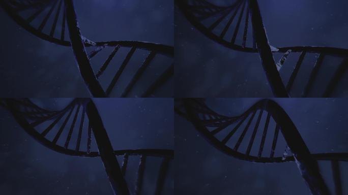 旋转DNA序列特效视频3D