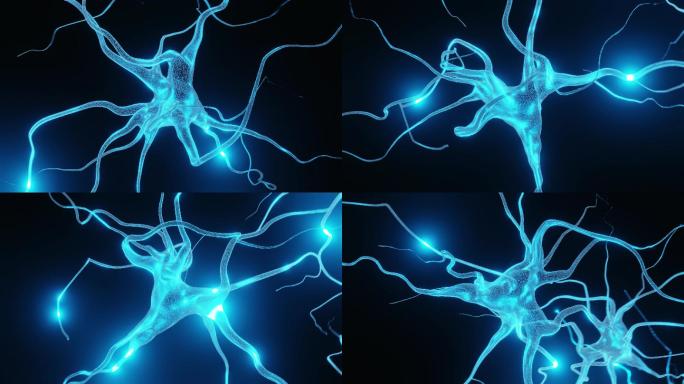 神经元细胞系统特效视频3D科技