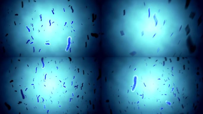 细菌3D动画新冠病毒细菌细胞微生物真菌