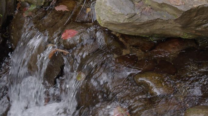 小溪瀑布水流水花慢速25