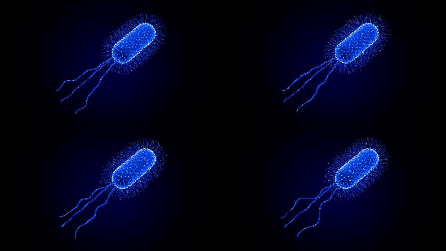 细菌背景微生物动画病菌放大观察幽门螺旋杆