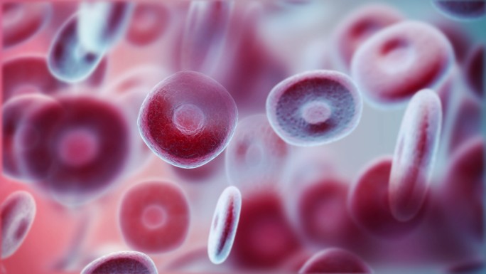 红细胞电子显微镜血细胞血常规