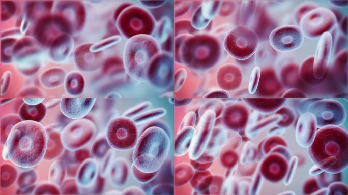 红细胞电子显微镜血细胞血常规