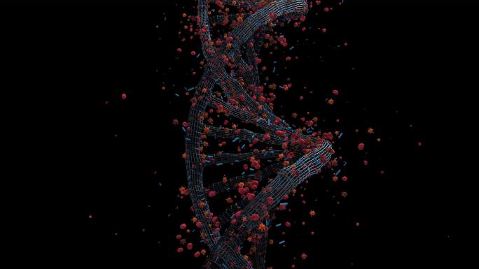 断裂的DNA结构