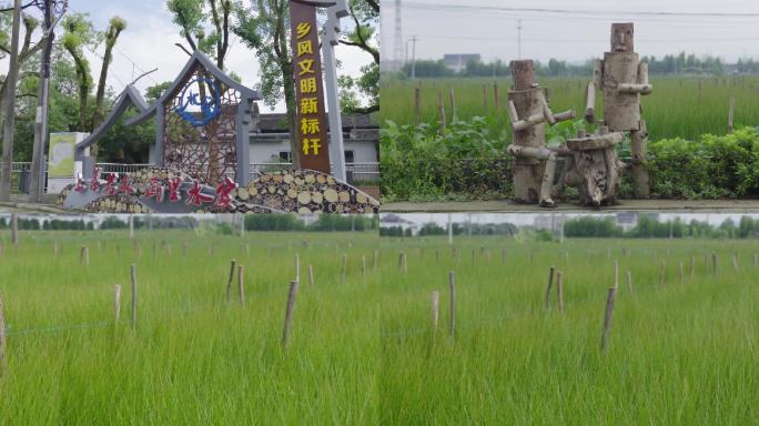 宁波横街镇水家