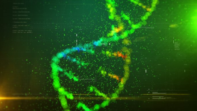 DNA结构动画RNADNA2测试检测