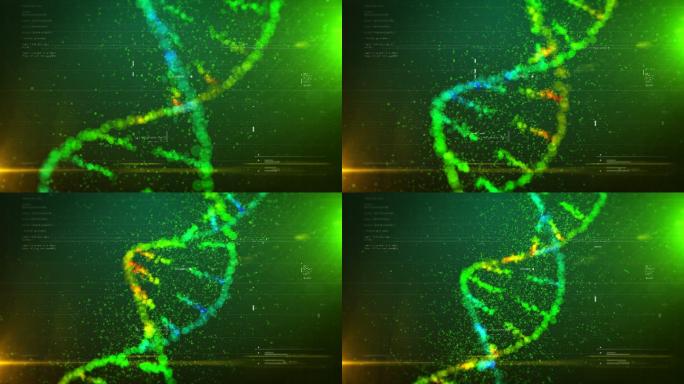 DNA结构动画RNADNA2测试检测