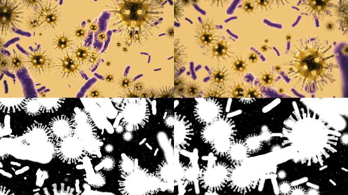 细菌动画幽门螺旋杆菌感染显微镜下病菌疾病
