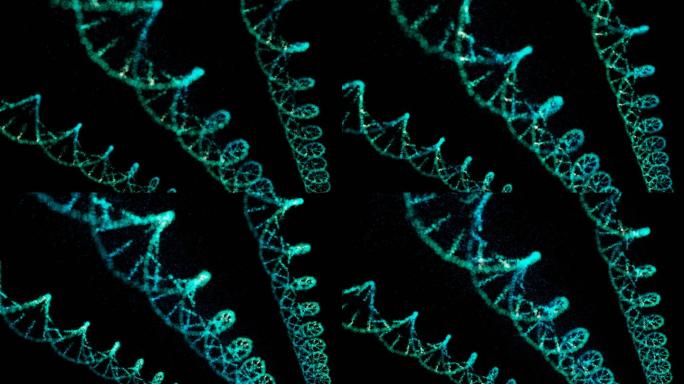 DNA结构特效视频