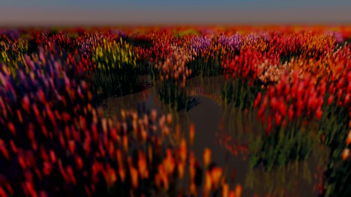 鲜花盛开的田野3D
