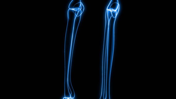 人体骨骼X射线特效视频3D简约