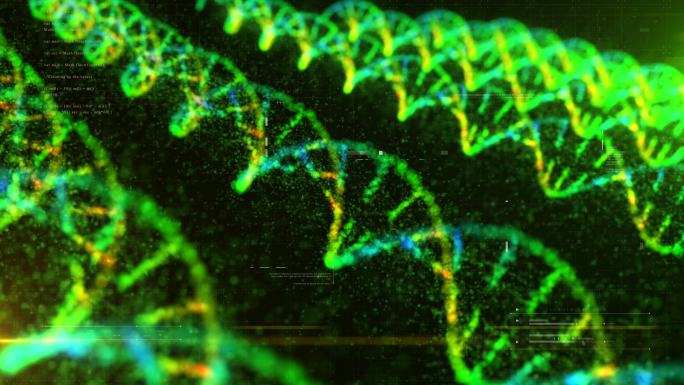 DNA结构动画全息光效基因组基因片段序列