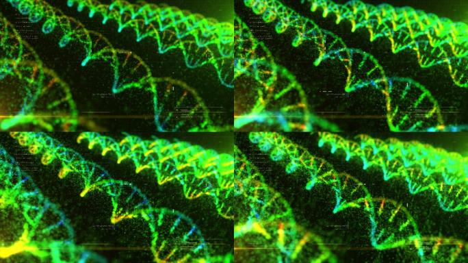 DNA结构动画全息光效基因组基因片段序列