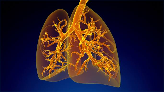 人肺呼吸系统特效视频