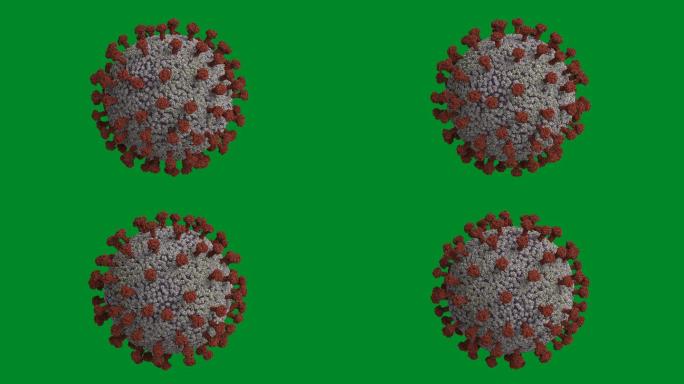 绿色屏幕上的冠状病毒细胞