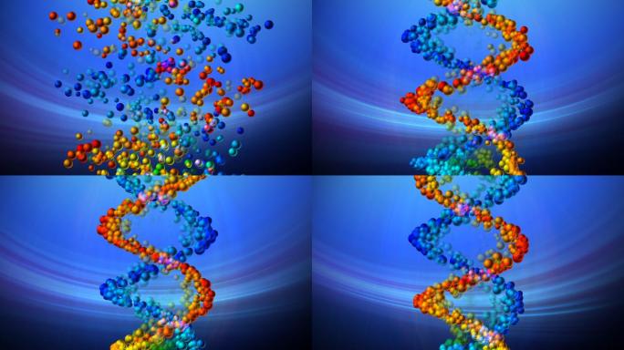 脱氧核糖核酸动画DNA螺旋体基因研究生命