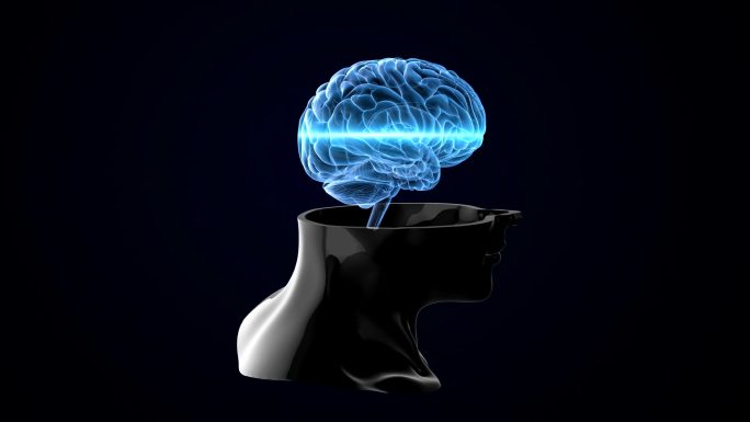 人脑扫描可循环动画