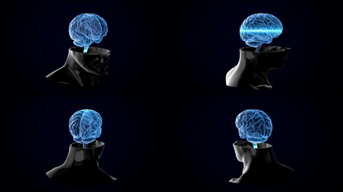 人脑扫描可循环动画
