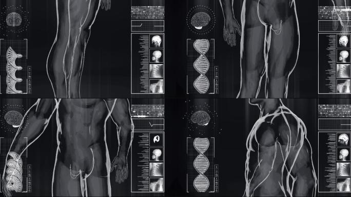 人体结构HUD科技界面科技感高科技