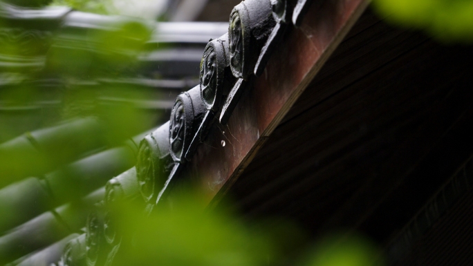 春雨 谷雨 清明 雨滴 小雨 意境