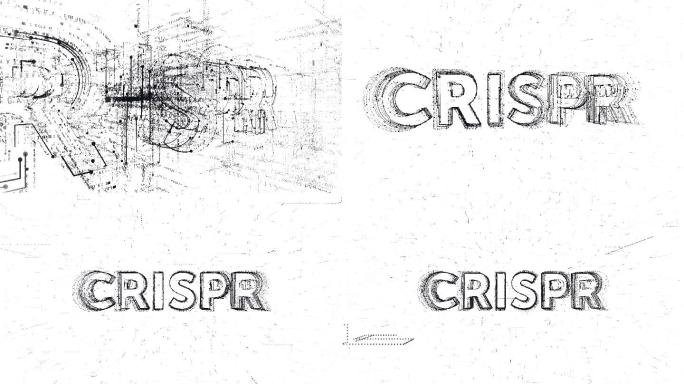 CRISPR 文本动画