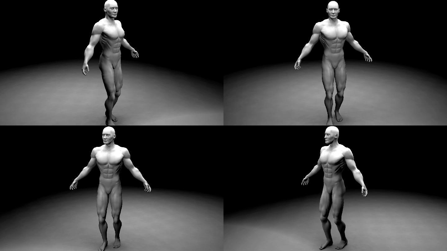 肌肉型人体动画特效视频3D栏目